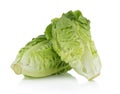 Fresh baby cos (lettuce) on white background Royalty Free Stock Photo