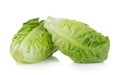 Fresh baby cos (lettuce) on white background Royalty Free Stock Photo