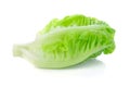 Fresh baby cos lettuce