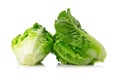 Fresh baby cos lettuce on white background Royalty Free Stock Photo