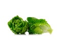 Fresh baby cos lettuce on white background Royalty Free Stock Photo