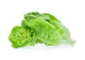 Fresh baby cos lettuce on white background Royalty Free Stock Photo