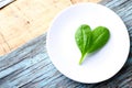 Fresh Baby spinach heart shape leaf on white plate, blue wooden background. Top view with copy space. Love, Healthy