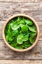 Fresh baby spinach leaves Royalty Free Stock Photo