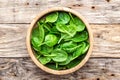 Fresh baby spinach leaves Royalty Free Stock Photo