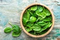 Fresh baby spinach leaves Royalty Free Stock Photo