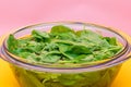 Fresh Baby Spinach Leaves in the Water in Glass Bowl Royalty Free Stock Photo