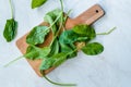 Fresh Baby Spinach Leaves on Wooden Board Royalty Free Stock Photo