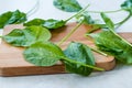 Fresh Baby Spinach Leaves on Wooden Board Royalty Free Stock Photo