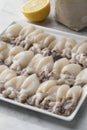 Fresh baby squid on a dish Royalty Free Stock Photo