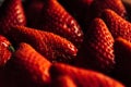 Fresh background detail of a strawberry box. Healthy food concept Royalty Free Stock Photo
