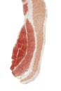 Fresh bacon slice Royalty Free Stock Photo