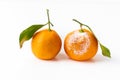 Fresh and bad rotten tangerine isolated on the white background. Citrus clementine with green leaf as a variety of mandarine Royalty Free Stock Photo