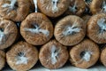 Fresh bagels in the plastic bags Royalty Free Stock Photo