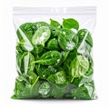 Fresh Bagged Spinach Leaves, Close Up Royalty Free Stock Photo
