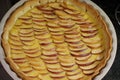 Fresh baked apple pie with neat rows of apple slices in a round white ceramic baking form Royalty Free Stock Photo