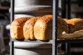 Fresh baked artisan bread on a shelf in bakery shop. Gourmet breads for sale Royalty Free Stock Photo