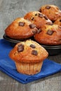 Fresh baked banana chocolate muffins