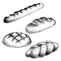 Fresh baked bread set. French baguette, loaf buns, braid bun. Hand drawn sketch style illustrations for bakery shop and packagie.