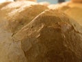 Fresh baked bread in supermarket Royalty Free Stock Photo
