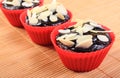 Fresh baked chocolate muffins with sliced almonds Royalty Free Stock Photo