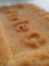 Fresh baked cookie macro shot Royalty Free Stock Photo
