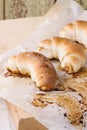 Fresh baked crescent rolls Royalty Free Stock Photo