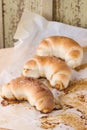 Fresh baked crescent rolls Royalty Free Stock Photo