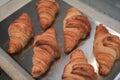 Fresh Baked Croissants on iron tray. French bakery concept.. Baked Pastries are enjoyed world wide. Royalty Free Stock Photo