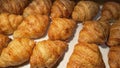 Fresh Baked Croissants. Warm Fresh Buttery Croissants and Rolls. French and American Croissants and Baked Pastries Fresh Baked Royalty Free Stock Photo