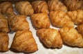 Fresh Baked Croissants. Warm Fresh Buttery Croissants and Rolls. French and American Croissants and Baked Pastries Fresh Baked Royalty Free Stock Photo