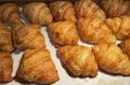 Fresh Baked Croissants. Warm Fresh Buttery Croissants and Rolls. French and American Croissants and Baked Pastries Fresh Baked Royalty Free Stock Photo