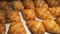 Fresh Baked Croissants. Warm Fresh Buttery Croissants and Rolls. French and American Croissants and Baked Pastries Fresh Baked Royalty Free Stock Photo