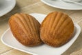 Fresh baked French madeleines