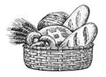 Fresh baked goods in basket. Breads and ears of wheat, sketch vintage illustration Royalty Free Stock Photo