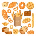 Fresh baked grain bread set. Vector flat cartoon illustration. Bakery design elements, isolated on white background Royalty Free Stock Photo