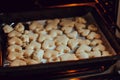 Fresh baked homemade cookies in oven.