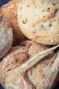 Fresh baked homemade rolls with seeds and ears of rye or wheat grain Royalty Free Stock Photo