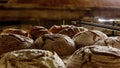 Fresh baked loaves of bread on a rack in a bakery. The concept o