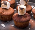 Fresh baked muffins with marshmallows and coconut flakes Royalty Free Stock Photo