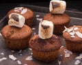 Fresh baked muffins with marshmallows and coconut flakes Royalty Free Stock Photo