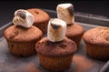 Fresh baked muffins with marshmallows Royalty Free Stock Photo