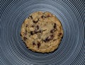 Fresh baked Oatmeal Cranberry Cookies