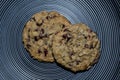 Fresh baked Oatmeal Cranberry Cookies