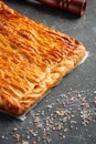 Fresh baked pie with beef meat and potato filling Royalty Free Stock Photo