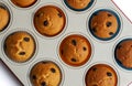 Fresh baked raisin muffins in oven tray, close-up shot Royalty Free Stock Photo