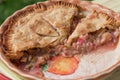 Fresh baked rhubarb pie - close up view Royalty Free Stock Photo