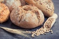 Fresh baked rolls with seeds and ears of rye or wheat grain Royalty Free Stock Photo