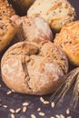 Fresh baked rolls with seeds and ears of rye or wheat grain. Vintage photo Royalty Free Stock Photo