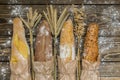 Fresh baked rustic bread loaves in paper bags on dark wood background Royalty Free Stock Photo